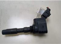  Катушка зажигания Volkswagen Jetta 7 2018- 20296376 #1