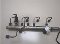  Рампа (рейка) топливная Renault Espace 4 2002- 20296402 #1