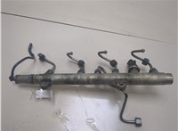  Рампа (рейка) топливная Renault Espace 4 2002- 20296402 #3