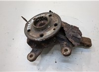  Ступица (кулак, цапфа) Mercedes Vito W639 2004-2013 20296613 #1