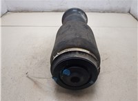 A1663200325 Пневмоподушка Mercedes GL X164 2006-2012 20296620 #3