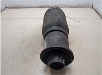 A1663200325 Пневмоподушка Mercedes GL X164 2006-2012 20296620 #4