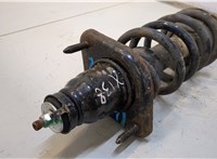  Амортизатор подвески Honda CR-V 2007-2012 20296650 #2