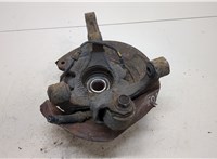  Ступица (кулак, цапфа) Hyundai Tucson 1 2004-2009 20296742 #1
