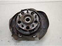  Ступица (кулак, цапфа) Hyundai Tucson 1 2004-2009 20296742 #2