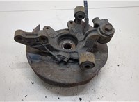  Ступица (кулак, цапфа) Hyundai Tucson 1 2004-2009 20296769 #1