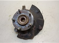  Ступица (кулак, цапфа) Hyundai Tucson 1 2004-2009 20296968 #1