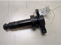  Катушка зажигания Hyundai i30 2007-2012 20297526 #1
