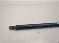  Амортизатор капота Iveco EuroCargo 2 2002-2015 20297531 #2