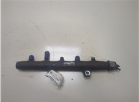  Рампа (рейка) топливная Peugeot Boxer 2006-2014 20297578 #1
