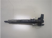  Форсунка топливная Volkswagen Passat 6 2005-2010 20298068 #1
