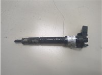  Форсунка топливная Volkswagen Passat 6 2005-2010 20298071 #1