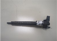  Форсунка топливная Volkswagen Passat 6 2005-2010 20298073 #1