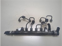  Рампа (рейка) топливная Volkswagen Passat 6 2005-2010 20298074 #1