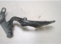  Петля капота Ford Fiesta 2008-2013 20298331 #1