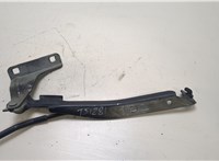  Петля капота Nissan Note E11 2006-2013 20298332 #1