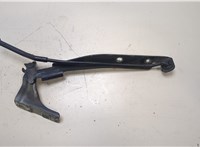  Петля капота Nissan Note E11 2006-2013 20298332 #2
