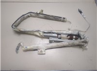  Подушка безопасности боковая (шторка) Renault Laguna 2 2001-2007 20298706 #1