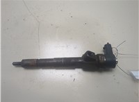  Форсунка топливная Opel Insignia 2008-2013 20298830 #1