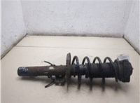 6Q0413031BJ, 6Q0411105AE Амортизатор подвески Skoda Fabia 2007-2014 20298984 #3