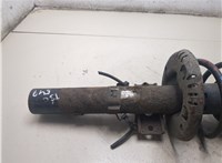 6Q0413031BJ, 6Q0411105AE Амортизатор подвески Skoda Fabia 2007-2014 20298984 #5