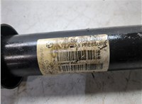 33526873756 Амортизатор подвески BMW 4 F32 2013-2021 20298986 #5