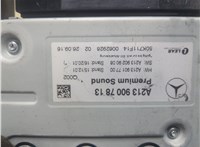 A2139017700 Блок управления двигателем Mercedes E W213 20298994 #2