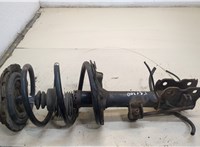  Амортизатор подвески Nissan Murano 2002-2008 20299143 #1