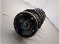 31316764599 Амортизатор подвески BMW X5 E53 2000-2006 20299158 #6