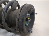  Амортизатор подвески BMW X5 E53 2000-2007 20299163 #2