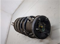 31316764600 Амортизатор подвески BMW X5 E53 2000-2006 20299163 #5