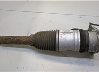  Амортизатор подвески Bentley Continental GT 2003-2011 20299210 #1