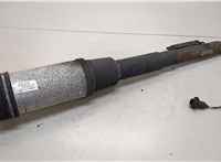  Амортизатор подвески Mercedes S W220 1998-2005 20299239 #1