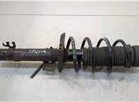  Амортизатор подвески Skoda Rapid 20299329 #1