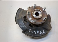  Ступица (кулак, цапфа) Volkswagen Golf 5 2003-2009 20299462 #1