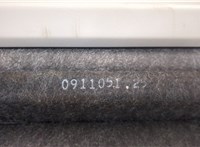  Полка багажника Renault Scenic 1996-2002 20299500 #3