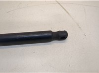  Амортизатор крышки багажника Volkswagen Sharan 2010-2015 20299570 #2