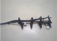  Форсунка топливная Audi A4 (B6) 2000-2004 20299675 #1