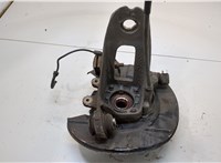  Ступица (кулак, цапфа) BMW X5 E53 2000-2007 20299810 #1