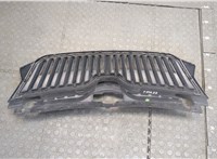  Решетка радиатора Skoda Rapid 20299834 #2