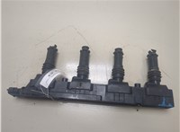 1208020, 93177212, 133839 Катушка зажигания Opel Meriva 2003-2010 20300396 #1