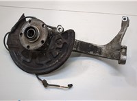 4B0407613B, 8E0407254E Ступица (кулак, цапфа) Audi A6 (C5) 1997-2004 20300505 #1