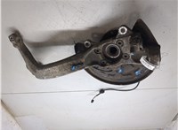4B0407613B, 8E0407254E Ступица (кулак, цапфа) Audi A6 (C5) 1997-2004 20300505 #5