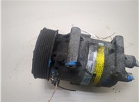  Компрессор кондиционера Renault Megane 2 2002-2009 20300644 #1