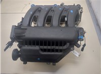  Коллектор впускной Renault Megane 2 2002-2009 20300646 #1