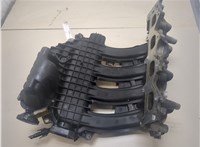  Коллектор впускной Renault Megane 2 2002-2009 20300646 #4