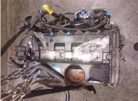 1709003, 1749287 Двигатель (ДВС) Ford Transit 2006-2014 20300900 #3