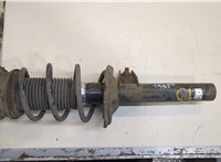  Амортизатор подвески Skoda Octavia (A7) 2013-2017 20301119 #1