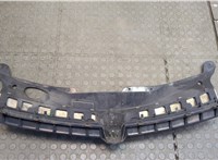  Решетка радиатора Opel Astra H 2004-2010 20301539 #3