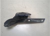  Петля капота Volkswagen Passat CC 2008-2012 20301678 #1